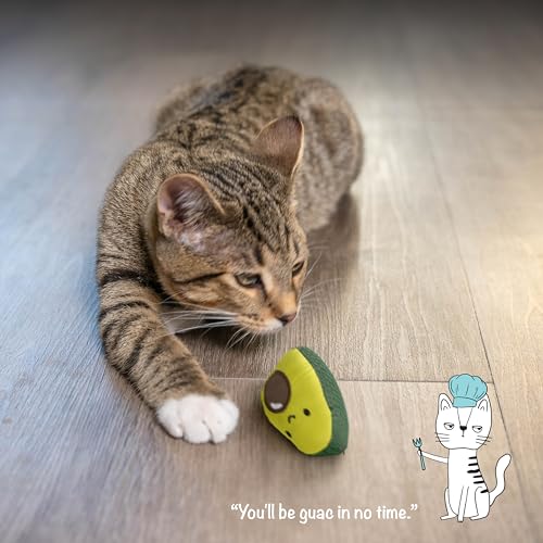 Catstages 67840 Lil' Avocato Dental Health Catnip Cat Chew Toy thumb #6