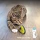 Petstages Lil’ Avocato - Katzenspielzeug - Zahnpflege - Avocado - Katzenminze - Grün - Einheitsgröße