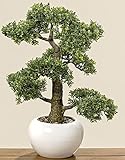 arvore bonsai artificial grande  Home Collection Muebles, decoración, plantas artificiales - Boj Común bonsai artificial en macetero - material: plástico - Color natural - dim. Altura aprox. 48 cm