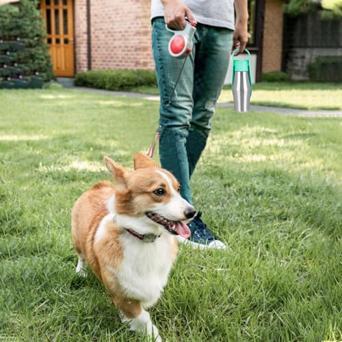Bouteille d'eau portable pour chiens anti-fuite grand format - 3