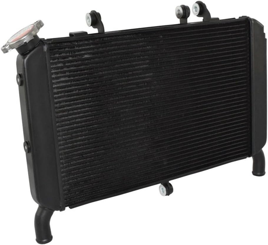 レ*迎様 No.5 アロカシア ブラックステム 斑入り（白斑） レ*迎様 No.5