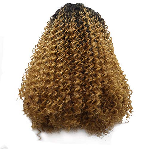 Perruque afro longs cheveux bouclés pour masquer la perte de volume