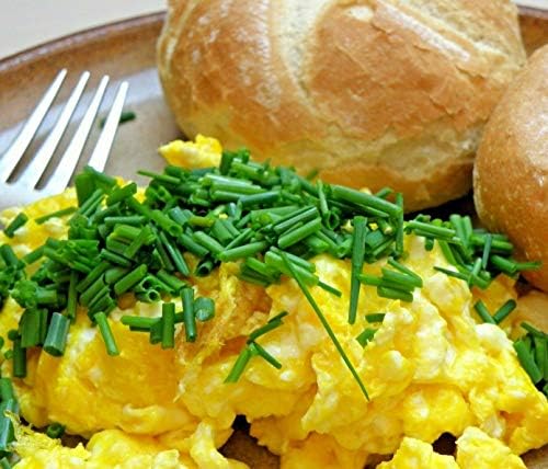 2 POUNDS (32 OZ) Powdered Whole Eggs, BEST PRICES AND FRESHEST EGGS! Made in the USA, Makes 70 Large Eggs, 1 INGREDIENT - EGGS! FARM FRESH, NON GMO, ALL NATURAL, RESEALABLE POUCH