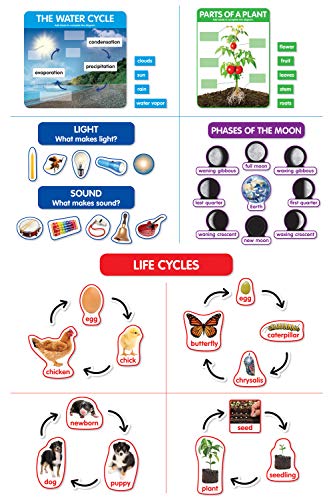 Kit d'éveil aux concepts scientifiques kit d'affichage éducatif pour classe