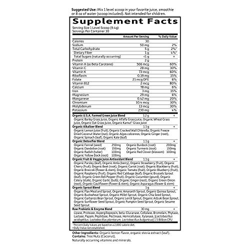 Garden of Life Vegan Green Superfood Powder - Raw Organic Perfect Whole Food Alkalizer & Detoxifier, 10.1oz (285g) Powder - Image 6