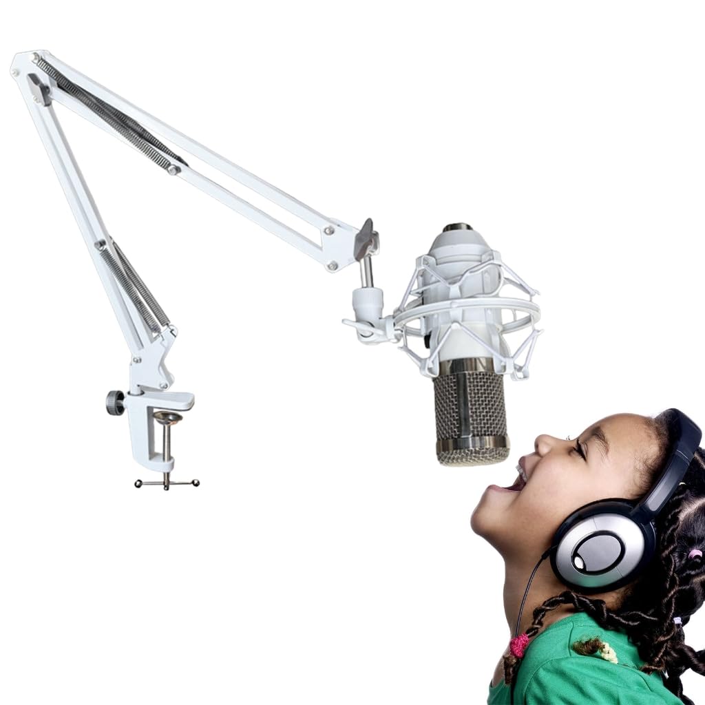 Bras de microphone réglable en métal pour enregistrement et diffusion