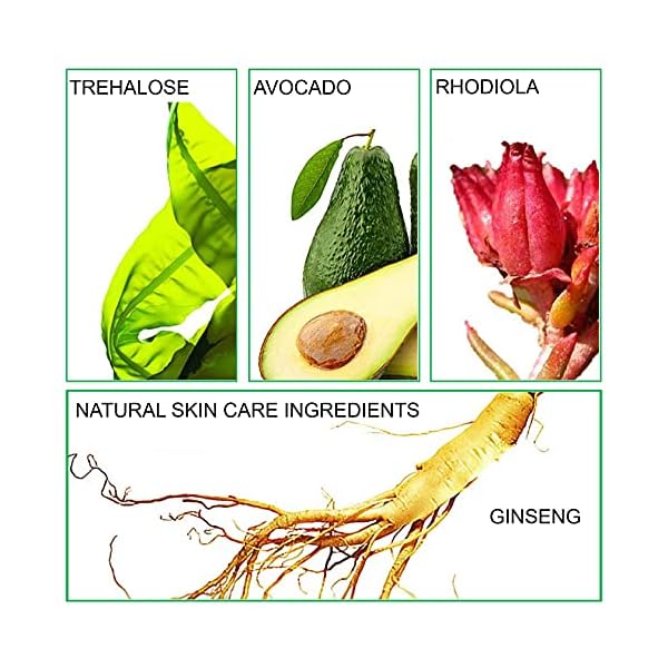 Mushroom Head Air Cushion CC Cream Foundation BB Cream Foundation Makeup Moisturizing CC Cream Liquid Foundation,Concealer Lasting Makeup Foundation Even Skin Tone Makeup Base Primer(Natural)