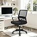 NEO Chair Office Chair Gaming Desk Computer Chair Ergonomic Mesh Mid Back with Wheels Lumbar Support Comfy Swivel Adjustable for Home (All Black)