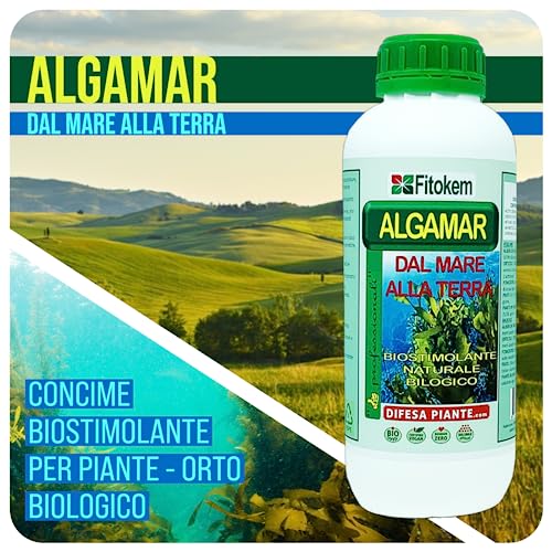 FITOKEM ALGAMAR - Concime Piante Verdi, Prato, Orto, Agrumi, Limoni (1 Kg) Fertilizzante Piante Naturale Biostimolante con Alghe Brune, Rinvigorisce e Aiuta la Pianta nei Periodi di Stress Biologico