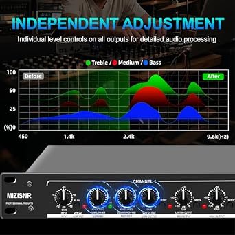 Professional 2/3 Way Stereo/4 Way Mono Crossover and Digital Equalizer for Home Stereo Audio System Set