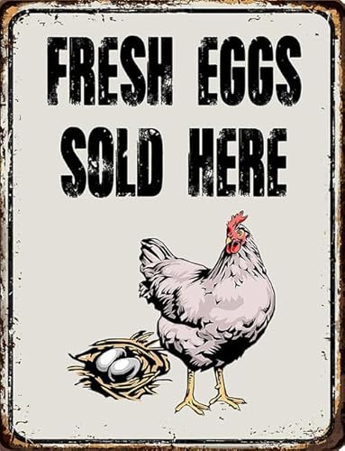 Uova fresche 14x20 cm in vendita, decorazione del mercato degli agricoltori, uova fresche della fattoria vendute qui, cartello divertente per pollaio, cartello da giardino in metallo per esterni
