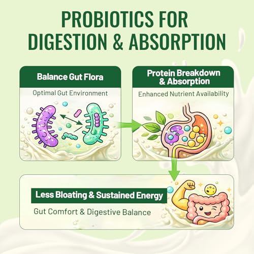 30g Organic Vegan Protein Powder Plant Based Meal Replacement 20 Billion Probiotics 0g - image 2
