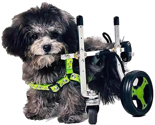 Chariot de soutien pour grand chien en balade au parc et à la maison
