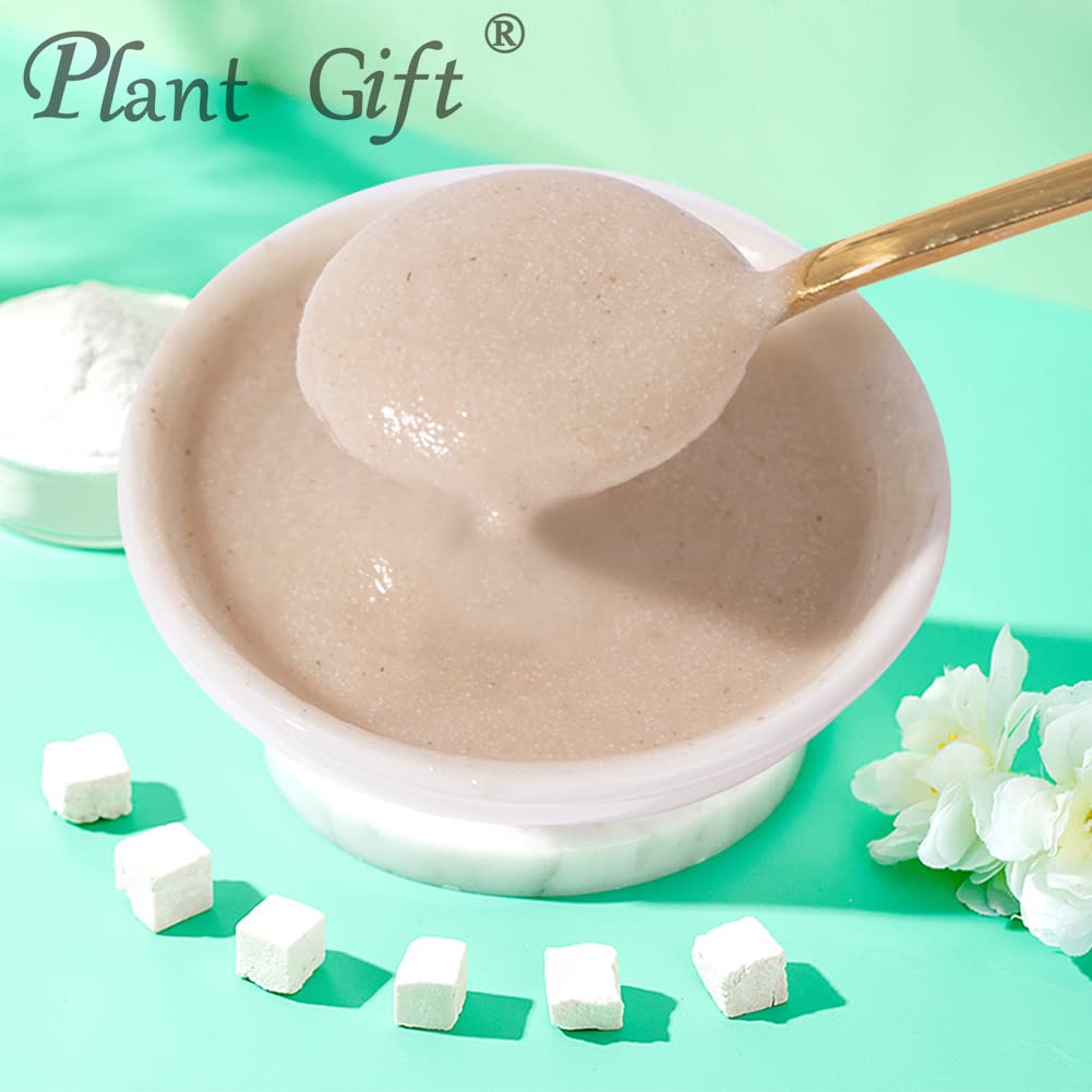 Plant Gift 100% Pure Poria Cocos Powder 茯苓粉 Farina naturale di cacao di poria, ottimo sapore per bevande, aggiunge sapore e sapore in polvere non OGM, senza riempitore, senza additivi 100G/3.25oz