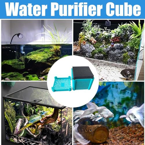 Filtration charbon actif aquarium eau de mer et douce avec cube noir