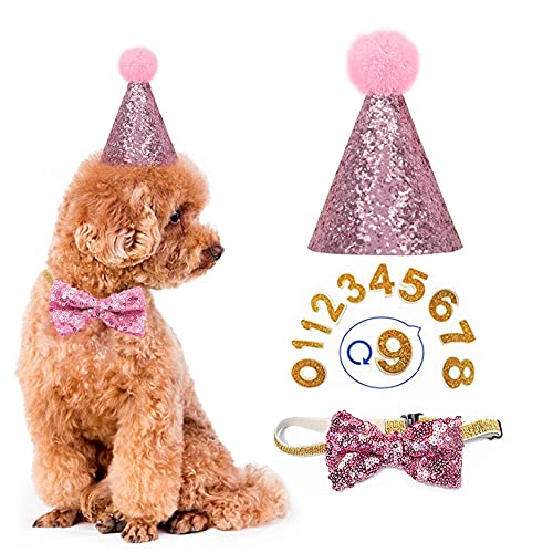 Dog Birthday Hat- Pet Birthday Hat and Bow Tie Collar Set with Number, Reusable Puppy Cat Headwear Caps Costumes Party Decorations Accessories (Pink)