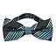 Turquoise Jeffrey Plaid