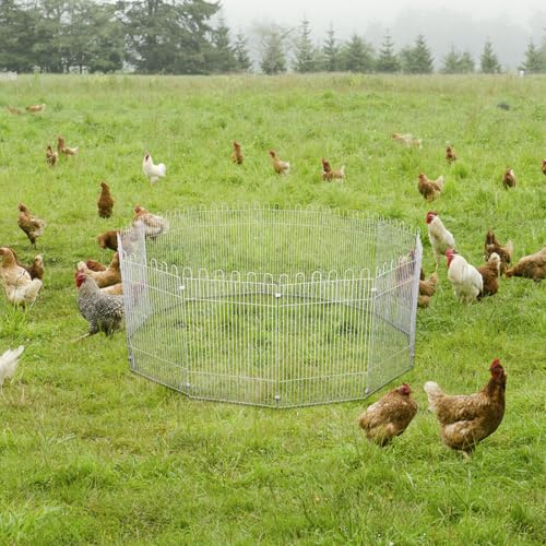 Panneaux grillagés pour couveuse au jardin pour enclos et séparation