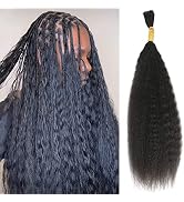 Bulk Human Hair for Braiding 100% Unprocessed Brazilian No Weft Human Hair Braids Extension Remy ...