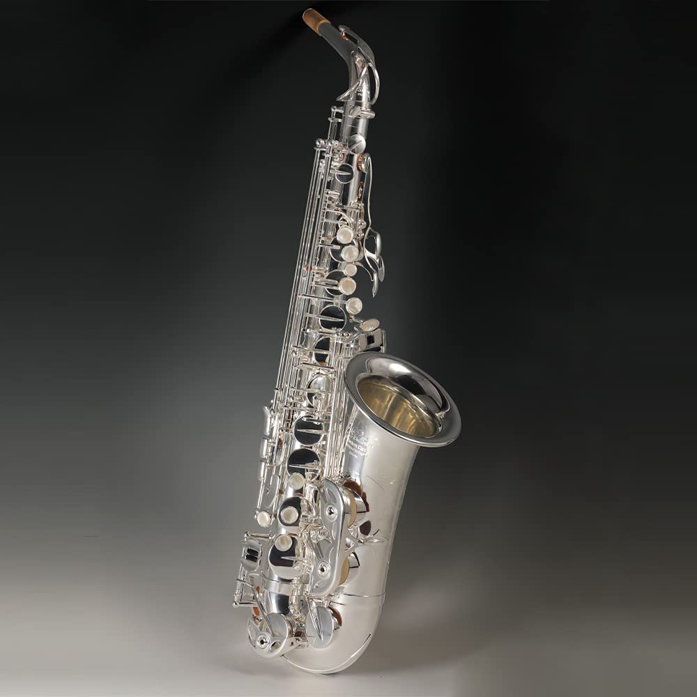 Rollins Saxophone alto RSA-X6,E flat Selmer 54-Key,Brass Material,Silver