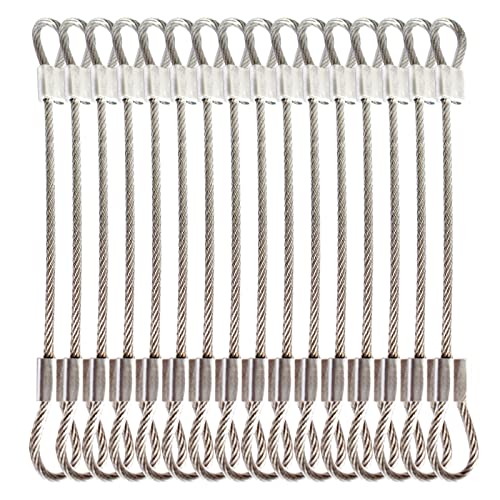 Bytiyar 1/8"(3mm) Wire Diam Stainless Steel Cable Eyelets Loops Short Rope Lanyard Safety Tether Chain Lock with Vinyl Coated Cover, 20Pcs 6" Long Clear
