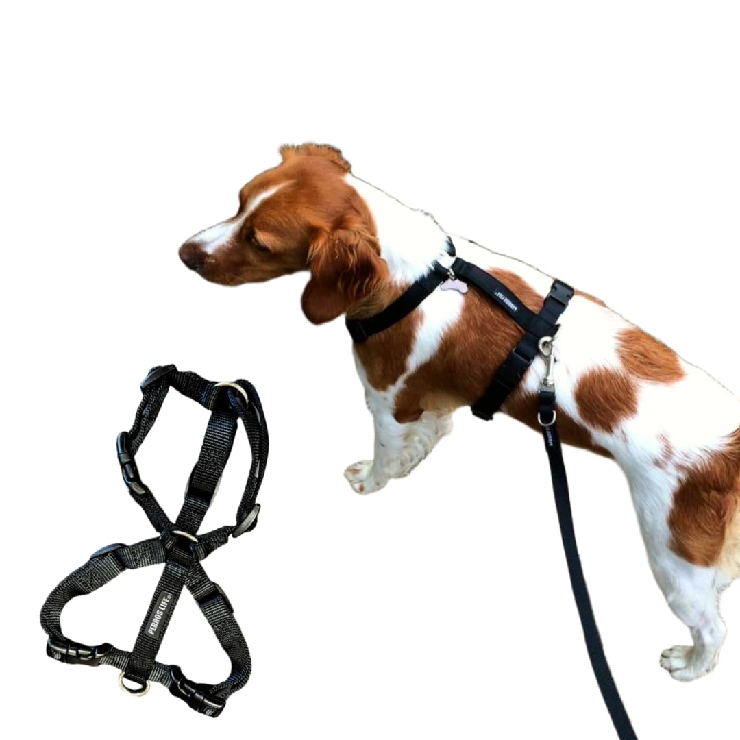 Amazon | 犬用ハーネス 超小型犬用【PERROS ペルロスハーネス XS(PA10