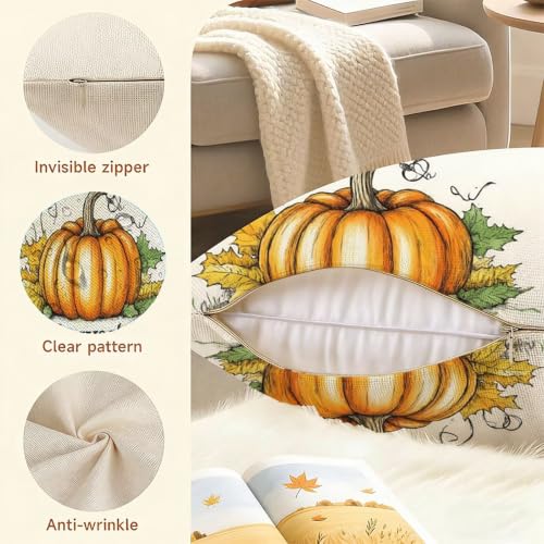 Housse de Coussin Orange Citrouille en Velours de Qualité Supérieure