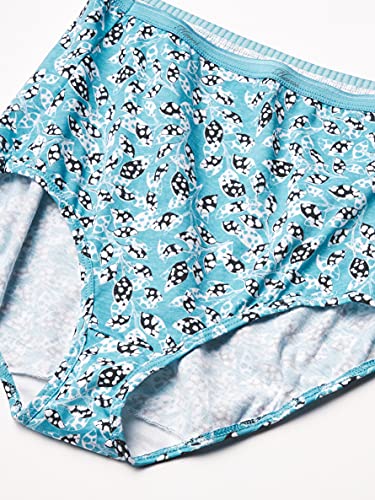 Hanes Women's Brief Underwear Pack, High-waisted Cotton Brief Panties, 10-pack (Colors May Vary)2