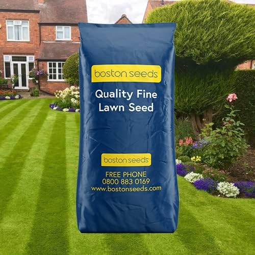 Boston Seeds Ornamental Grass Seed Quality Grass Seed for Fine Lawns