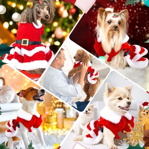 Disfraz de Perro Santa Claus con Falda de Terciopelo Rojo S miniatura 5