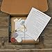 Amazon.com: DIY Art in a Box - Customizable Wood Sign Painting Kit ...