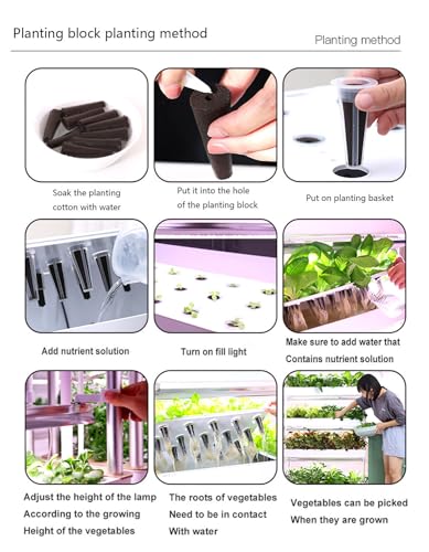 Sistema de cultivo hidropónico para interiores con luz LED de crecimiento, kit de riego automático para hierbas, frutas y verduras, perfecto para los entusiastas de la jardinería en casa y las plantas