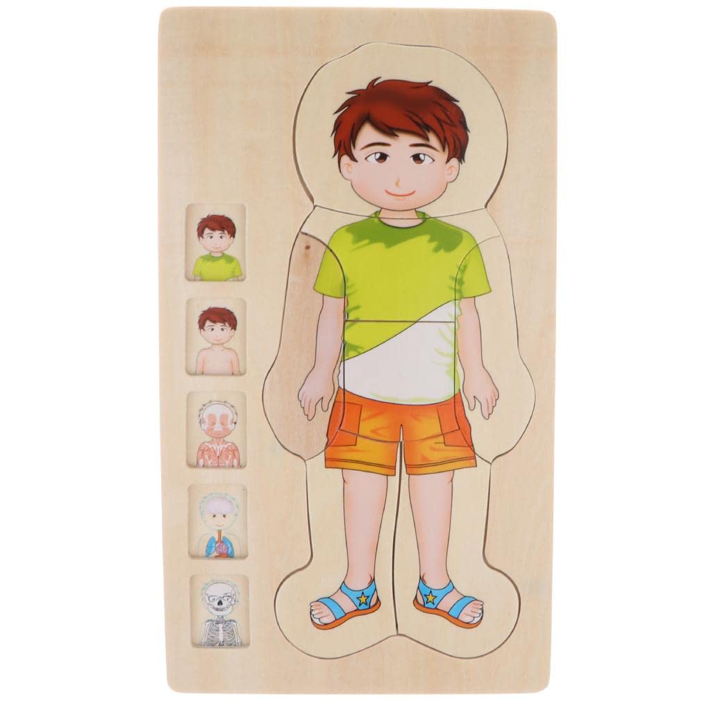 CALANDIS® 5-Layer Wooden Puzzle Boy Body Structure Jigsaw Puzzle Kids Educational Toy (B0CBMN9XH6) Amazon Price History, Amazon Price Tracker