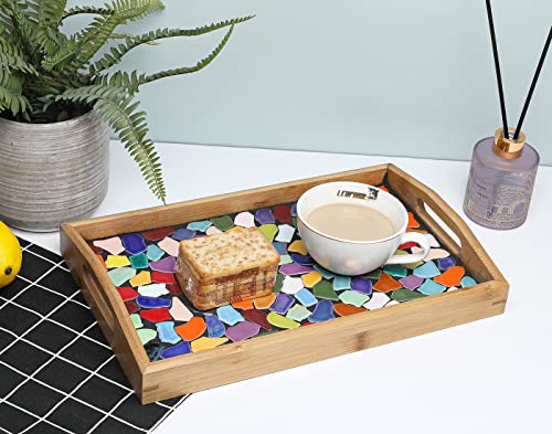 Lanyani DIY Mosaic Tiles Kit for Crafts for Adults Beginners,Make Your Own Artistic Glass Mosaic Serving Tray, DIY Handmade Decorative Colorful Ceramic Tiles Project