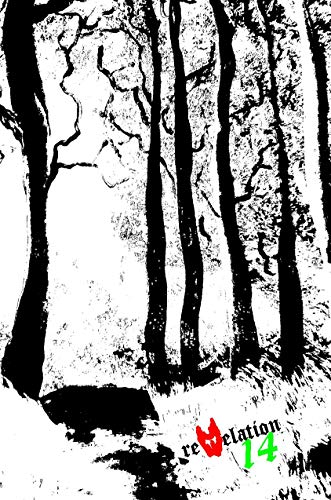Revelation 14 (English Edition)
