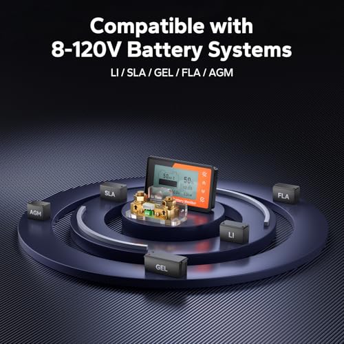 Image of LiTime 500A Battery Monitor with Shunt, M8 Terminals, 8V-120V Battery Shunt for RV, Off Grid, Golf Carts, Solar System, Buzzer Alarm, Compatible with 12V 24V LiFePO4, Lithium, Gel, AGM Batteries