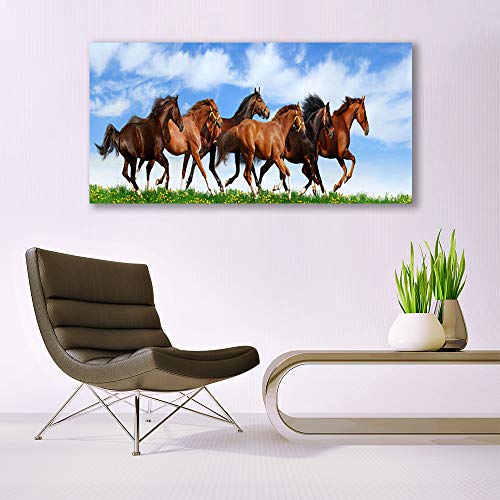 Tableau Chevaux Impression sur Verre Trempé Tulup 140x70cm - 4