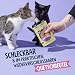 Pets Deli Silky Cream Katzen Nassfutter Quetschbeutel Huhn, schleckbar, geeignet für Katzen ohne Zähne, getreidefrei, ohne Zucker, 12x70g, Premium Qualität