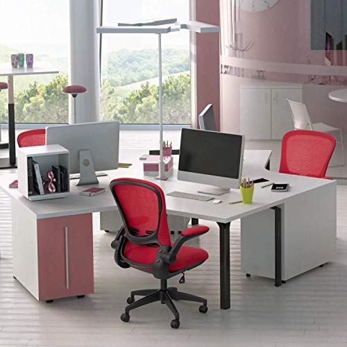 Devoko Office Desk Chair Ergonomic Mesh Chair Lumbar Support With Flip Up Arms And Adjustable Height (Red) #TOP6