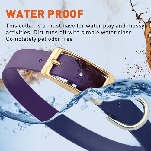 Image of Viper Biothane Heavy Duty Waterproof Dog Collar Strong Coated Nylon Webbing w /Solid Brass Hardware Odor-Proof Easy to Clean High Performance Fits Small Medium or Large Dogs, Violet Purple