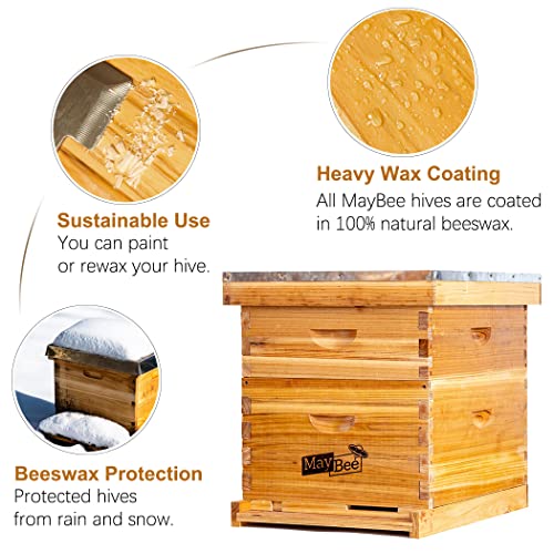Maybee 10-FRAMEHIVE-2 Bee Hive 10 Frame Bee Hives And Supplies Starter Kit, Bee Hive For Beginner, Honey Bee Hives Includes 1 Deep Bee Boxes thumb #2