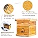 Beehive 10 Frame Bee Hives and Supplies Starter Kit, Bee Hive for Beginner, Honey Bee Hives Includes 1 Deep Brood Hive Box, 1 Bee Hive Super Box with Beehive Frames and Foundations