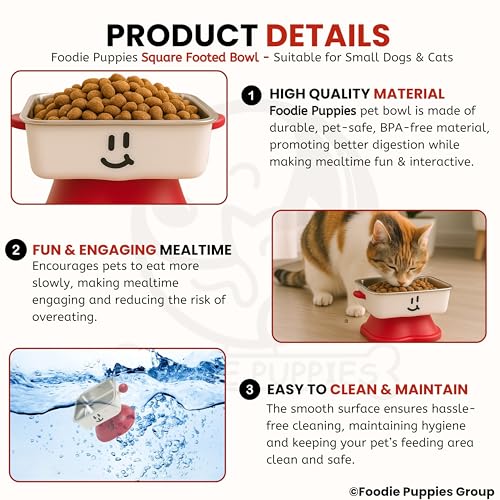 Image of Foodie Puppies Pet Elevated Cat Bowl - (Fun Face Square Bowl) | Detachable Stainless Steel Raised Bowl for Food & Water Feeding | Durable, Anti-Vomiting, Mess-Free Feeder for Cats, Kittens & Puppies