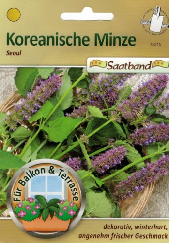 Koreanische Minze Seoul Saatband für Balkon & Terrasse dekorativ winterhart angenehm frischer Geschmack 43915