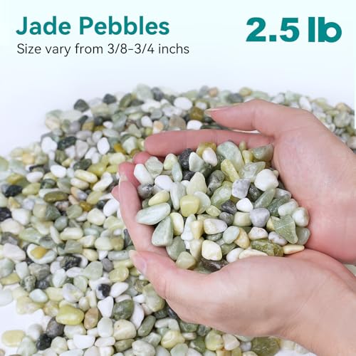 Image of 2.5 lbs Jade Pebbles for Indoor Plants, 3 /8 inch Plant Rocks for Pots Indoor, Decorative Small Stones for Plants, Bamboo,Vase, Succulent, Highly Polished Small River Rocks