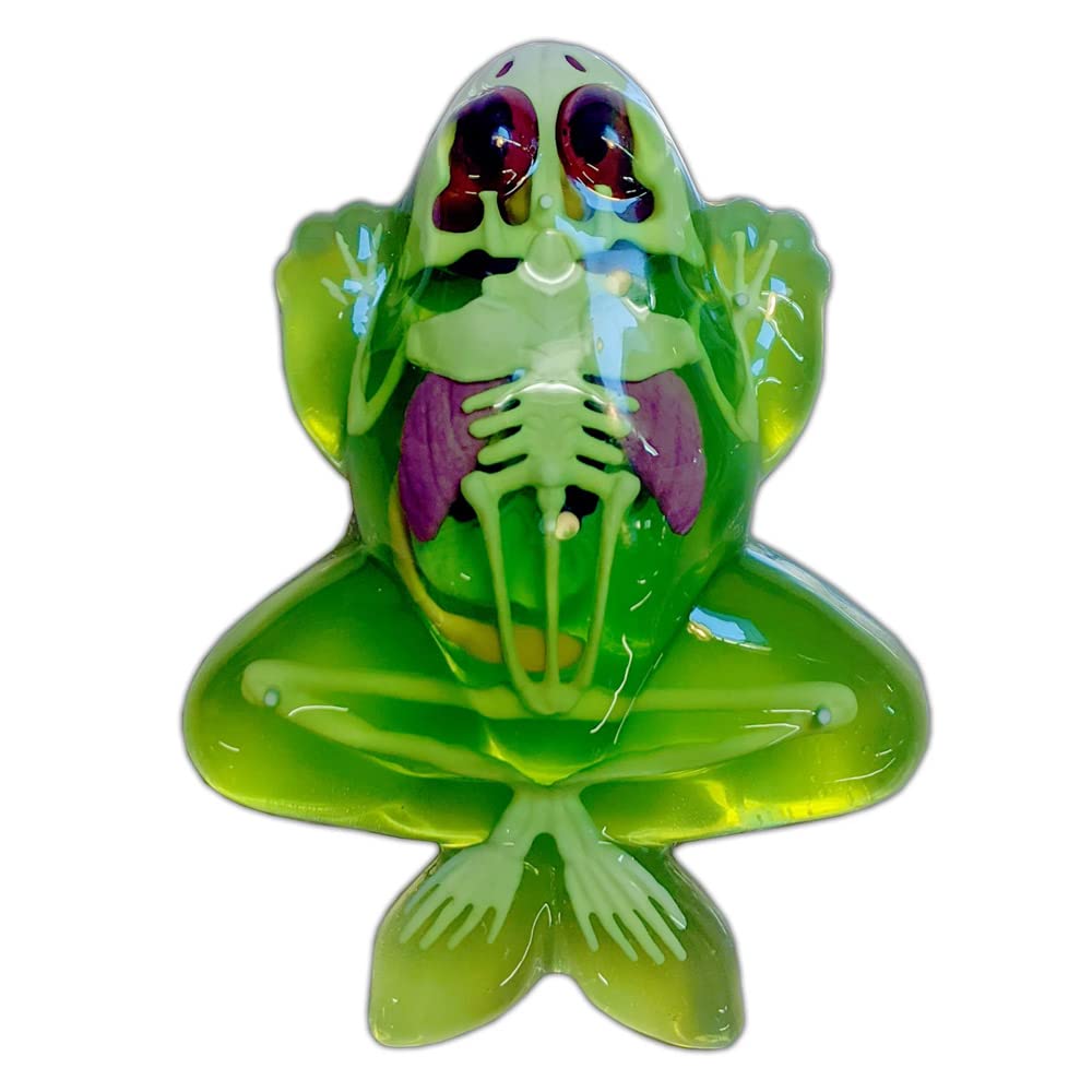 Slimy - Grenouille à Disséquer - Dissect-it - Jouet Slime - Apprentissage - A partir de 6 Ans
