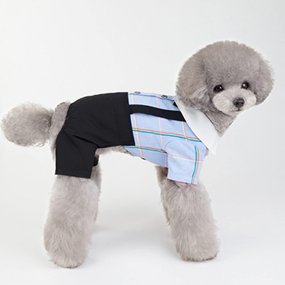 Ropa Bonita para Perros, Camiseta de Ocio para Cachorros, Ropa para Perros pequeños y medianos, Abrigo para Mascotas (Mono Azul XL)
