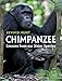 Chimpanzee: Lessons from our Sister Species