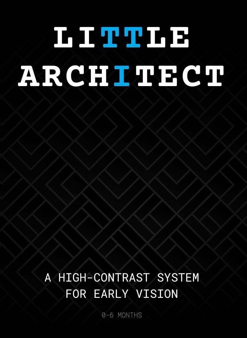 THE LITTLE ARCHITECT: A High-Contrast System for Early Vision