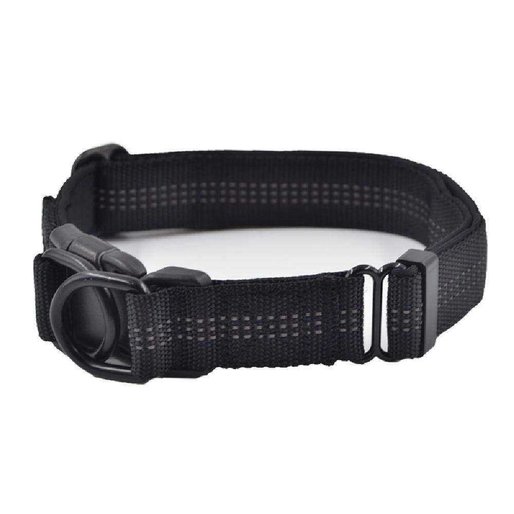 Collier chien réfléchissant nylon KYSA balade nocturne en forêt grand chien